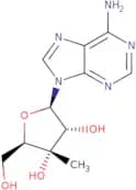3’-b-C-Methyladenosine