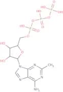 2-Methyladenosine-5'-triphosphate