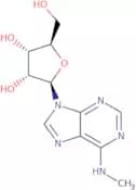 N6-Methyladenosine