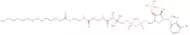 Myristoyl coenzyme A