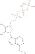 N6-Methyladenosine-5'-triphosphate sodium salt - 10 mM aqueous solution