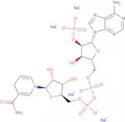NADPH 4Na - min 95%