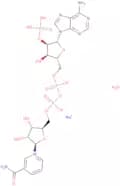 b-Nicotinamide adenine dinucleotide phosphate sodium salt