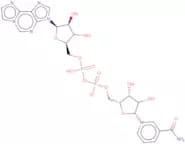 Nicotinamide 1,N6-ethenoadenine dinucleotide