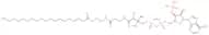 Nonadecanoyl coenzyme A