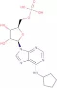 N6-Cyclopentyladenosine-5'-O-monophosphate