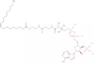 Oleoyl coenzyme A lithium salt