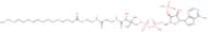 Palmitoyl coenzyme A lithium