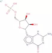 Polyguanylic acid potassium