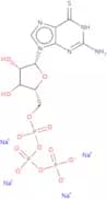 6-Thioguanosine-5'-O-triphosphate sodium salt - 10mM aqueous solution