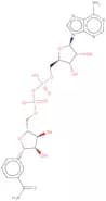 Thionicotinamide adenine dinucleotide