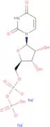 Uridine 5'-diphosphate disodium salt