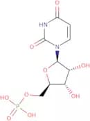 Uridine 5'-monophosphate