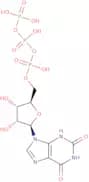 Xanthosine-5'-triphosphate triethylammonium salt - 100 mM aqueous solution