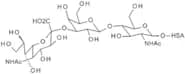 3'-N-Acetylneuraminyl-N-acetyllactosamine HSA