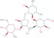Aminosidine