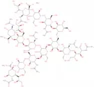 A3 N-Glycan