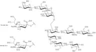 A2 Glycan, 2-AB labelled
