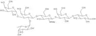Blood group B hexasaccharide type II