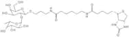 Blood Group H disaccharide, spacer-biotin conjugate