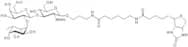 Blood Group H type II trisaccharide, spacer-biotin conjugate