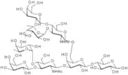 Difucosyllacto-N-hexaose (b)
