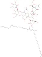 Fucosyl-GM1 ganglioside