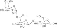 Globotriose