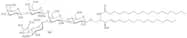 Ganglioside GM1