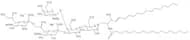GD2-Ganglioside