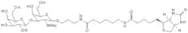 Galacto-N-biose-sp-biotin