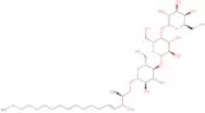 Globotriaosylsphingosine