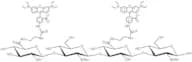 Hyaluronate rhodamine - Molecular Weight - 20kDa