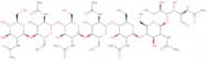 N,N',N'',N''',N'''',N''''',N''''''-Heptaacetylchitoheptaose