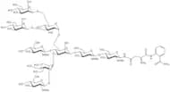 Hybrid Glycan, 2-AB labelled