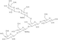 Lacto-N-hexaose