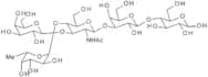 Lacto-N-fucopentaose II