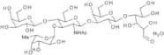 Lacto-N-fucopentaose III