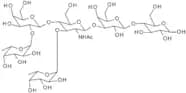 Lewis Y hexasaccharide