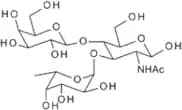 Lewis X trisaccharide