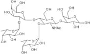 Lewis Y pentasaccharide