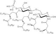 Lipid A monophosphoryl