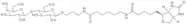 Lactose-sp-biotin