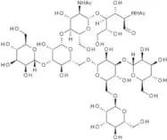 Man-5 N-Glycan