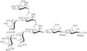 Man-6 N-Glycan