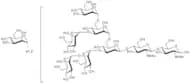 Man-7 N-Glycan