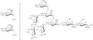 Man-8 N-Glycan