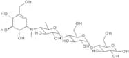 N-Methyl acarbose