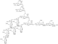Man-9-Glc N-Glycan