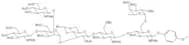 4-Methoxyphenyl 4-O-{4-O-[[3-O-[2,4-di-O-(3,4,6-tri-O-acetyl-2-deoxy-2-phthalimido-b-D-glucopyrano…